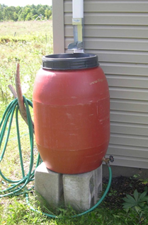 Rain Barrel