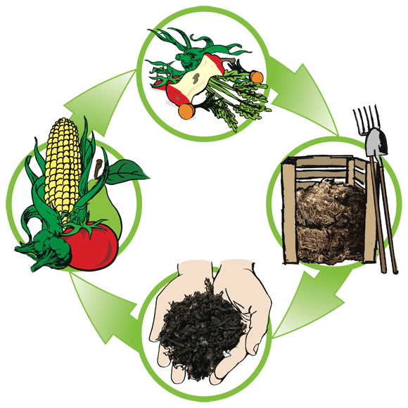 compost-cycle-3