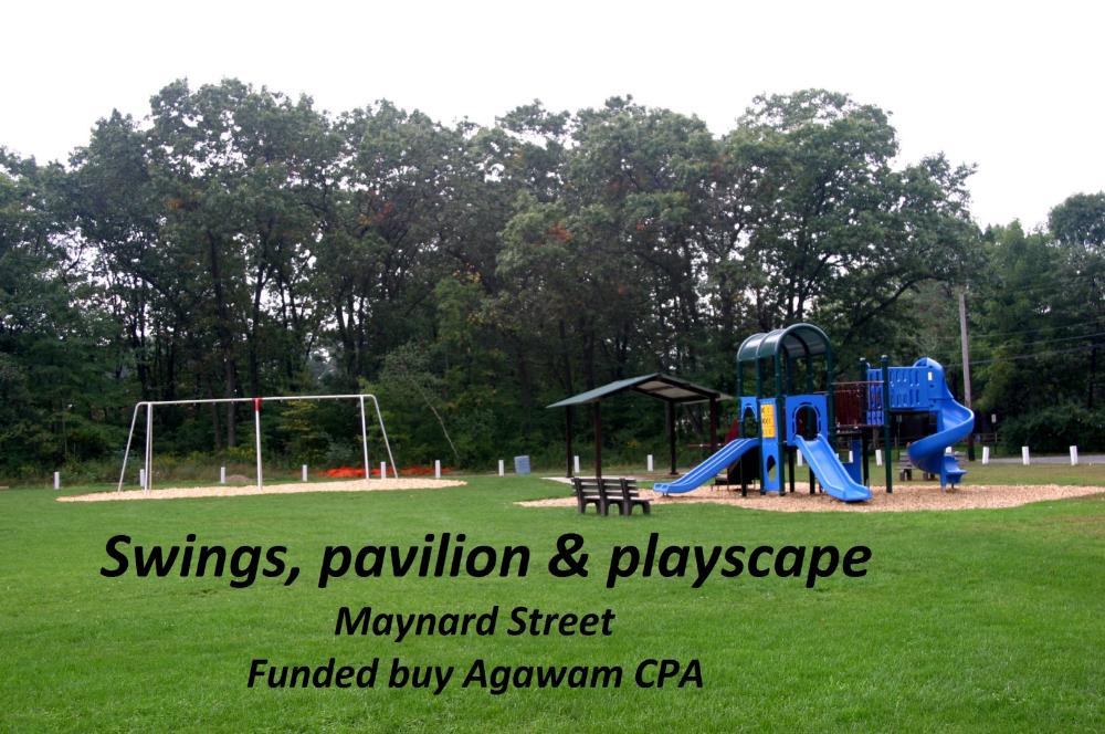 Swings, pavilion and playscape on Maynard Street