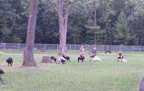 Dog Park-2